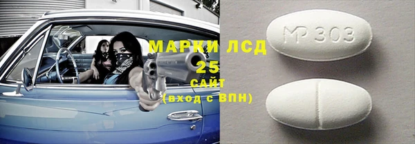 стаф Бородино