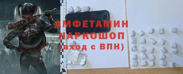 индика Бугульма