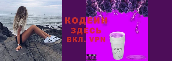 стаф Бородино