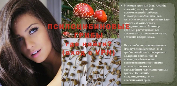 ГАЛЛЮЦИНОГЕННЫЕ ГРИБЫ Володарск