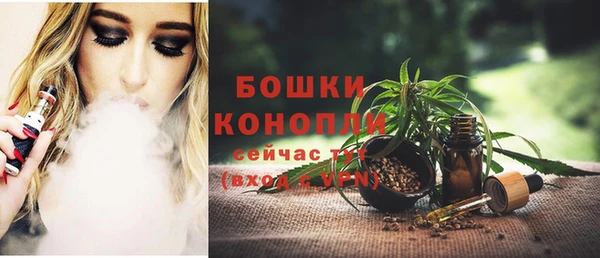 сатива Инта